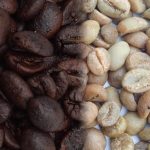 West Sumatera's Robusta Coffee