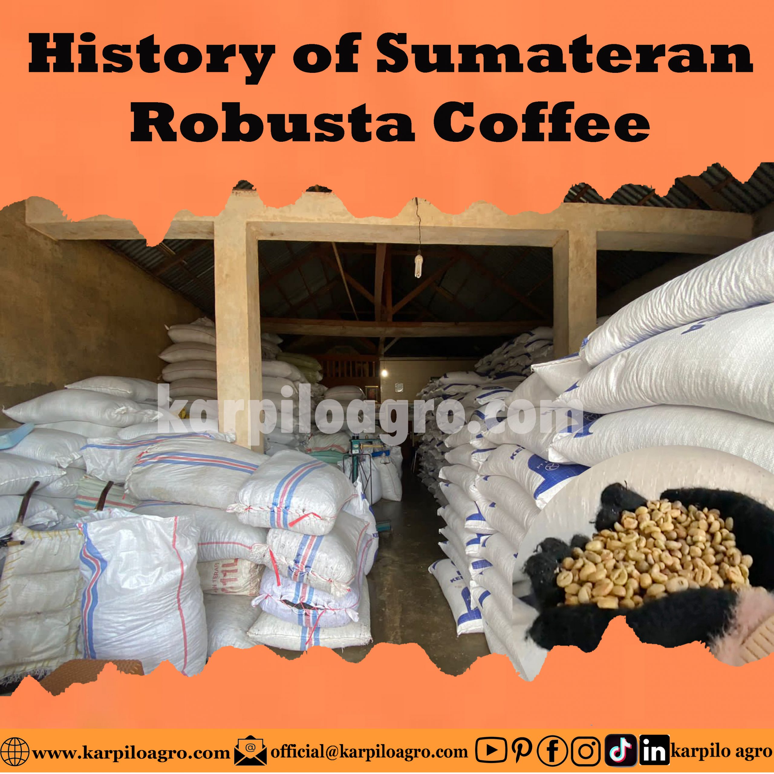West Sumatera Coffee