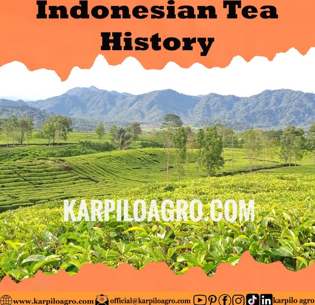 West Sumatera Tea